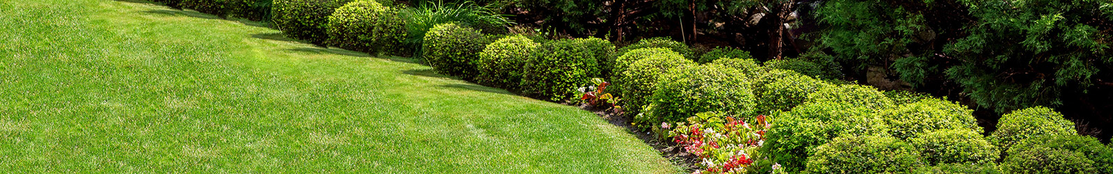 Landscaped Garden