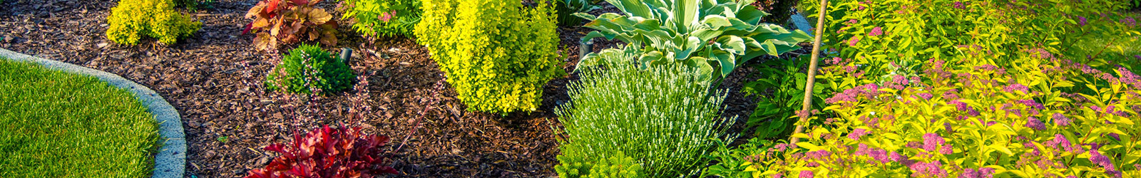 Garden Landscape